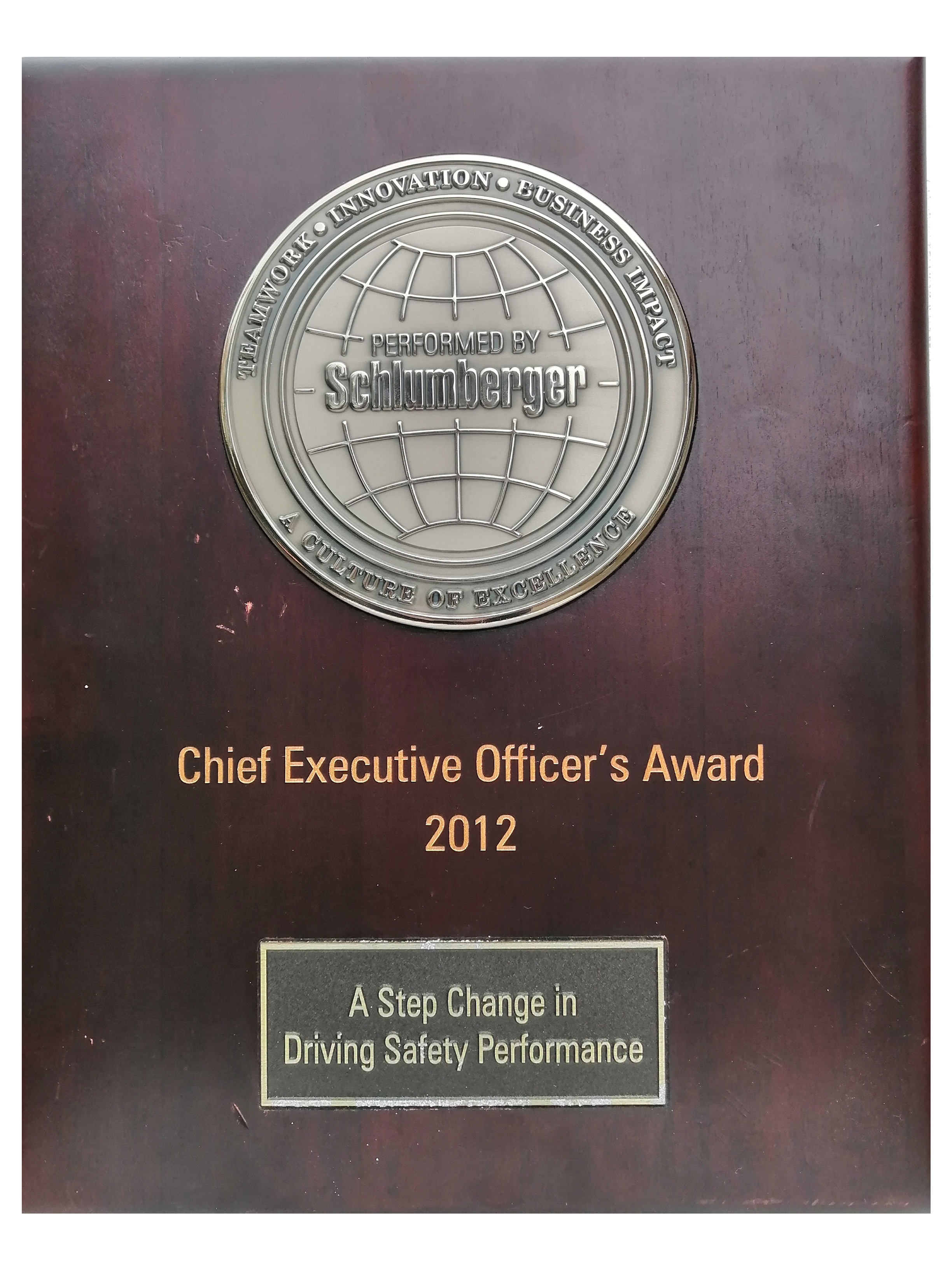 Chief Executive Officer’s Award